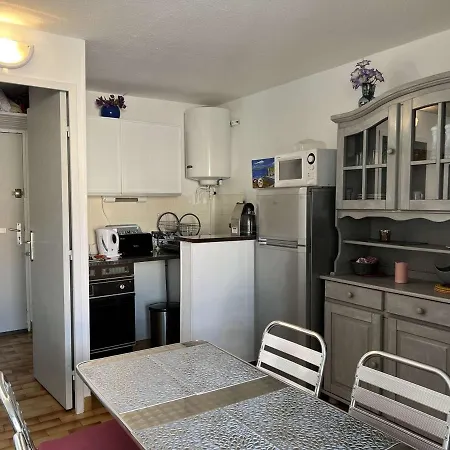 Pres Avec Parking Et Animaux Acceptes - Fr-1-702-13 Apartment Agde